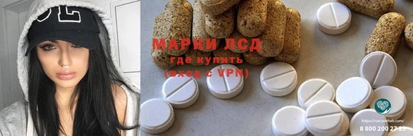 прущие грибы Абаза