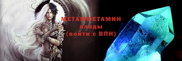 прущие грибы Абаза
