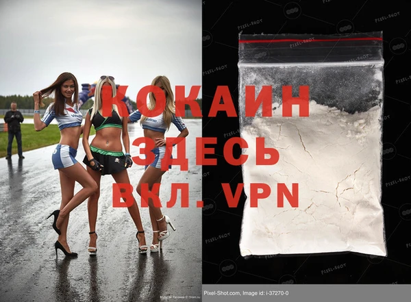 прущие грибы Абаза