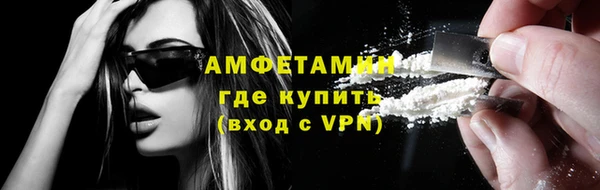 прущие грибы Абаза