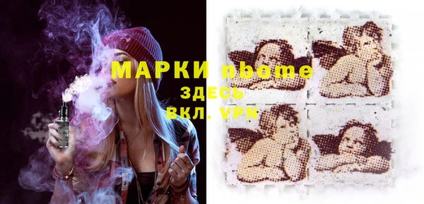прущие грибы Абаза