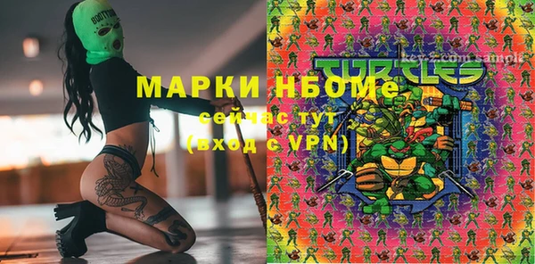 прущие грибы Абаза