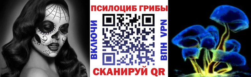 хочу наркоту Александровск-Сахалинский Псилоцибиновые грибы Psilocybe